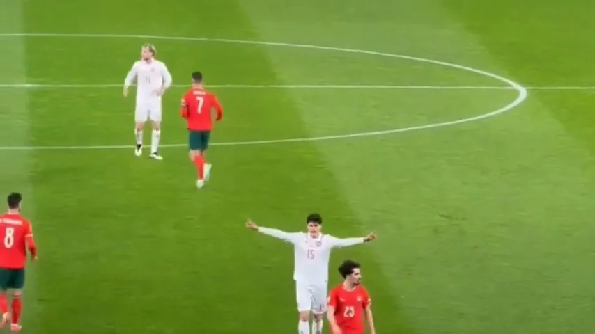 Goal #931 vs Denmark